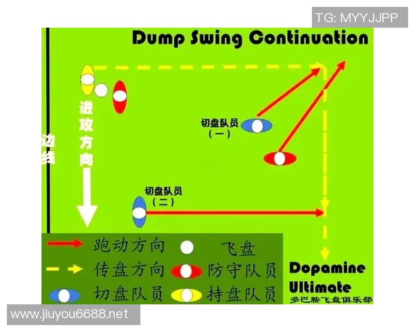 实时新闻南京飞盘队灵活性分析与战术创新的深度探讨